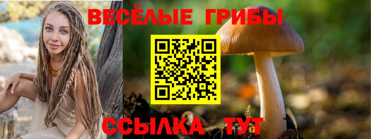Узловая  Галлюциногенные грибы Magic Shrooms  Вход с VPN 
